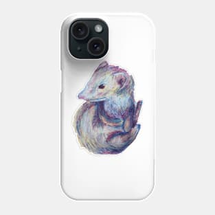 My Friends Ferret Phone Case