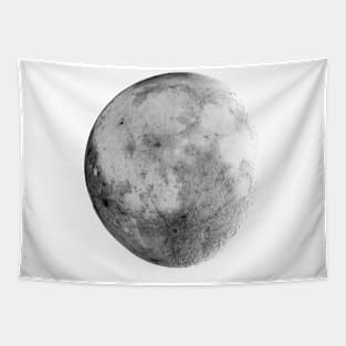 moon for light shirt Tapestry