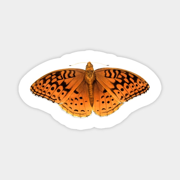 Great Spangled Fritillary Magnet by JadaFitch