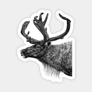 Reindeer Magnet