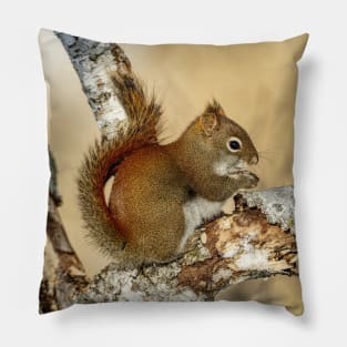 Red Squirrel Pillow