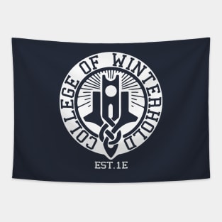 College of Winterhold Est. 1E Tapestry