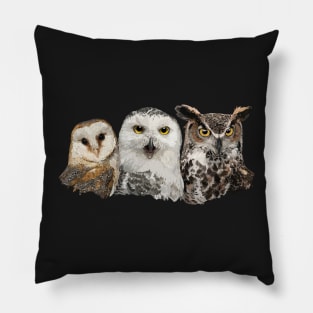 Owls and owl Pillow