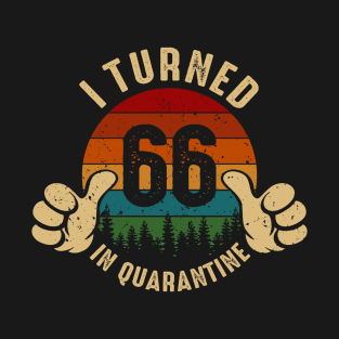 I Turned 66 In Quarantine T-Shirt