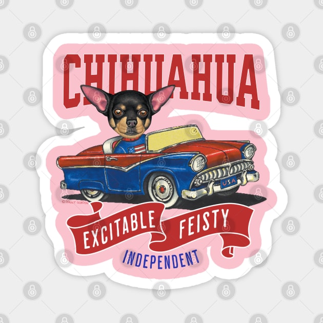 Funny and Cute Chihuahua dog driving a vintage classic retro car with red white and blue banner tee Magnet by Danny Gordon Art