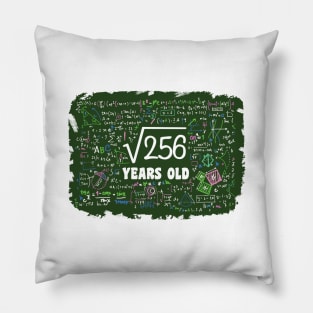 'Square Root Of 256 16 Year Old' Funny Math Gift Pillow