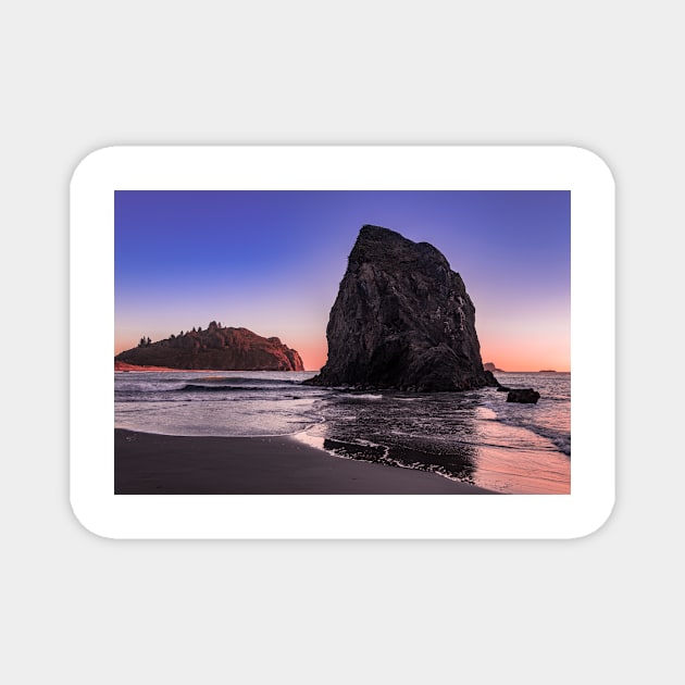 Coastal rock at Trinidad State Beach Magnet by blossomcophoto