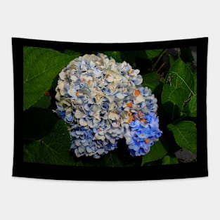 Blue Hydrangea Tapestry