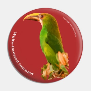 White-throated toucanet tropical bird on top of a tree pin white text Pin