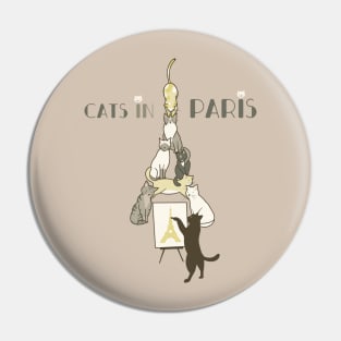 Cats in Paris Pin