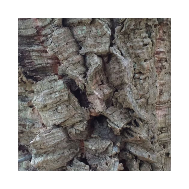 Cork Oak Tree Bark Texture 5 by oknoki