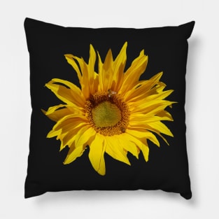 Sunflower at Magpie Springs by Avril Thomas Pillow