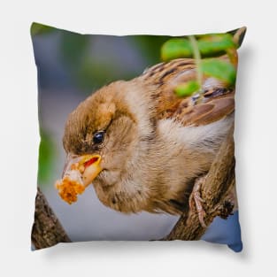 Happy Cute Bird & Breadcrumb Photograph Pillow