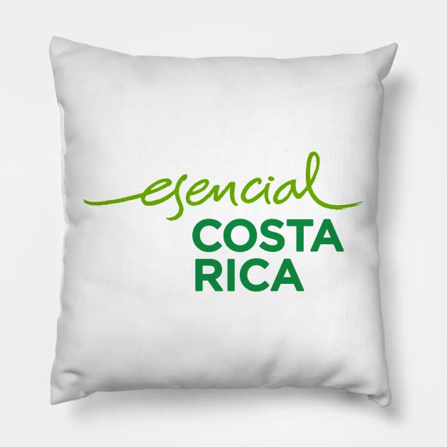 Esencial Costa Rica Pillow by verde