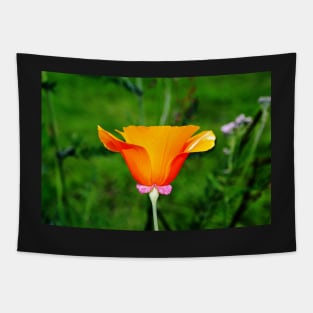 California Poppy Tapestry