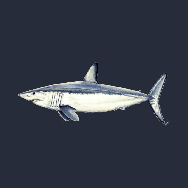 Mako Shark Size Chart