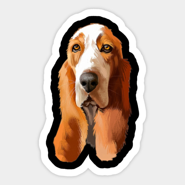 basset hound smiling