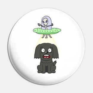 Funny black dog is being abducted by aliens Pin