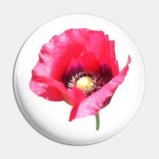 Poppy Pin