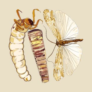 Brachicentridae Caddisfly T-Shirt