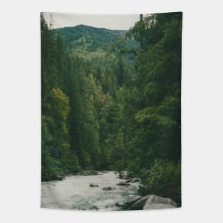 Over the river Tapestry