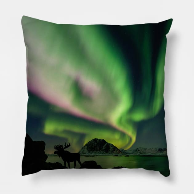 Moose with Northern Lights Pillow by crazycanonmom