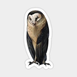 Grass Owl Magnet