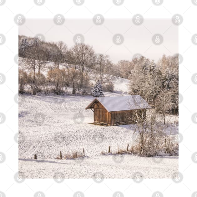 SCENERY 07 - Winter Snow Frost Home White Ice by artvoria