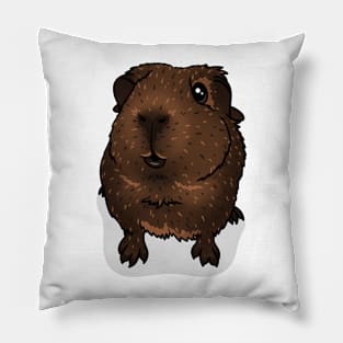 Chocolate Agouti Guinea Pig Pillow