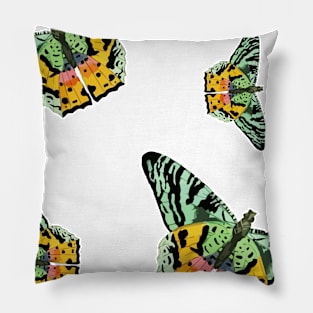 Colorful Butterfly , Cute Light Butterflies Gift Idea Pillow