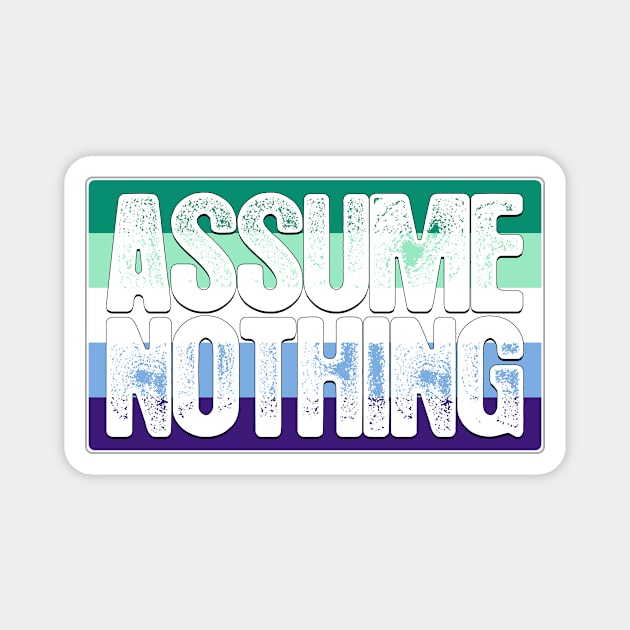 Assume Nothing Gay Male Pride Flag Magnet by wheedesign