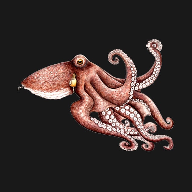 Octopus (Octopus vulgaris) by chloeyzoard