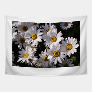 Large White Daisies Tapestry