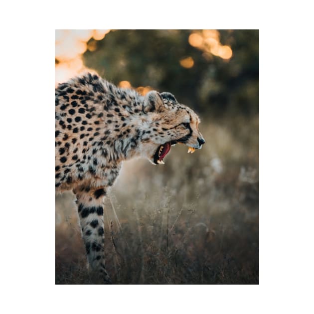 Angry Cheetah by withluke