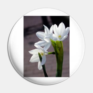 White Narcissus Pin