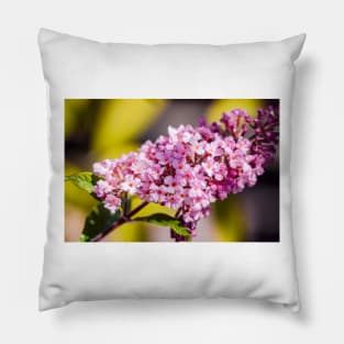 Butterfly bush close-up Pillow