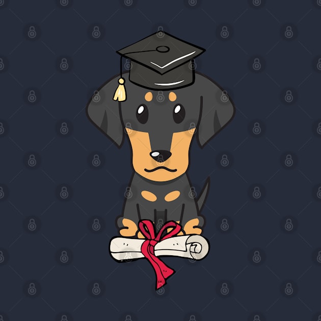 Funny dachshund is graduating by Pet Station