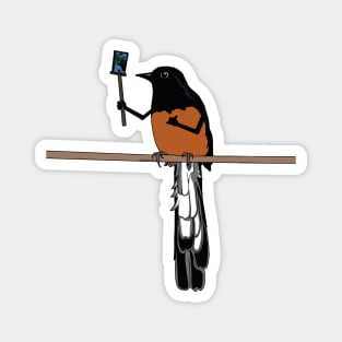 White-Rumped Shama Shaka Selfie Magnet