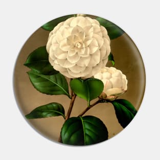 White flower on a brown background. Pin