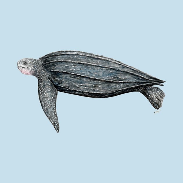 Leatherback turtle by chloeyzoard