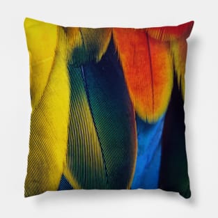 Tropical Colorful Feather Pattern Pillow