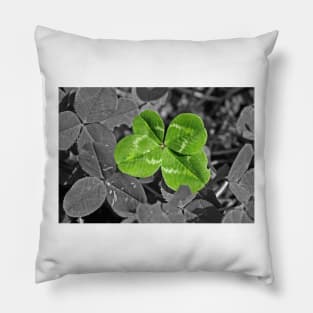 Lucky Four leaf Clover Pillow