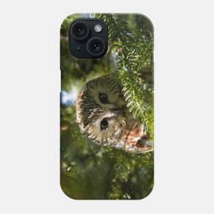 Northern Saw Whet Owl - Amherst Island, Ontario, Canada Phone Case