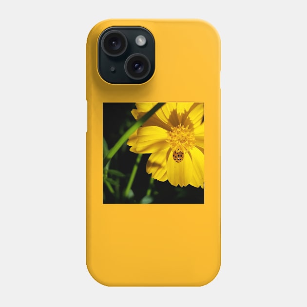 Orange Asian Lady Beetle Yellow Cosmos Phone Case by MrGreen47