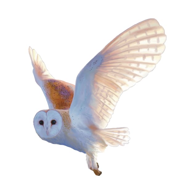 Flying Barn Owl illustration. Beautiful Barn Owl realistically rendered. Bird art. by PlumpPlumStudio