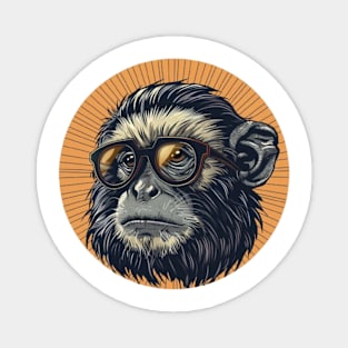 Hipster Marmoset Chronicles Magnet