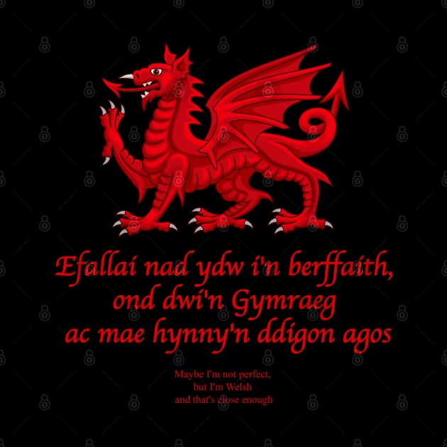 Efallai nad ydw i'n berffaith - Maybe I'm not perfect, but I'm Welsh and that's close enough by SteveHClark