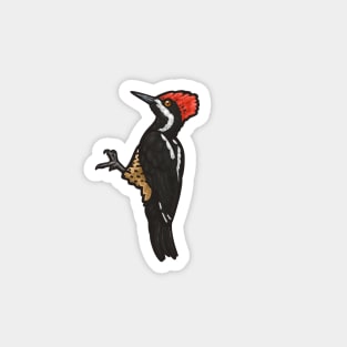 Powerful Woodpecker Magnet