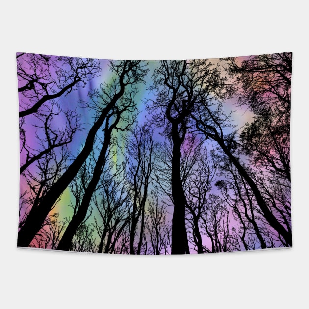 Twilight Forest Tapestry by Alpenglow Workshop