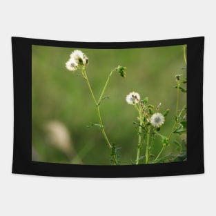 weeds Tapestry